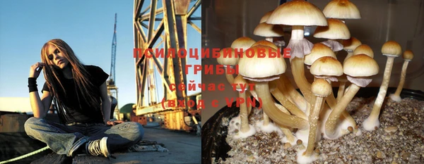 ешки Абаза