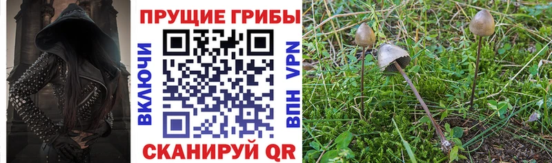 Галлюциногенные грибы мицелий  сколько стоит  Разумное 